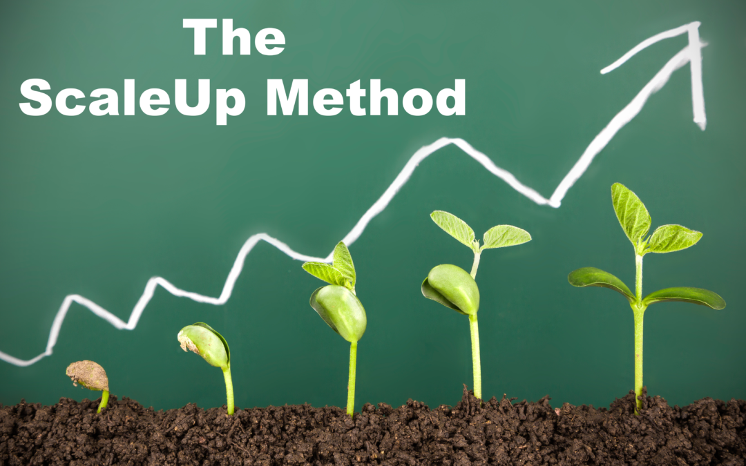 The ScaleUpMethod: How to Effectively Grow Your Small Business